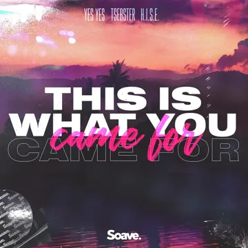 This Is What You Came For-cover
