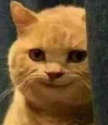 coveImg