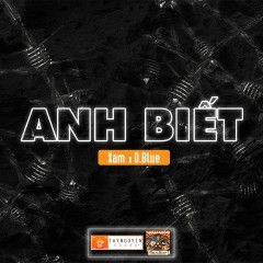 Anh Biết-cover