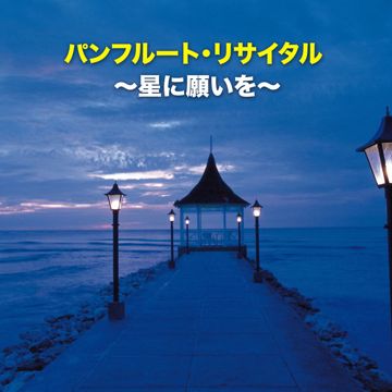 願い-cover