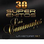 Las Gaviotas-cover