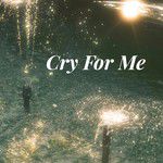 Cry For Me(Remix电音版)