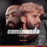 Caminando(R3HAB Remix Explicit)(Remix)-cover