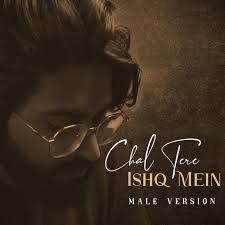 Chal tere ishq mein pad jaate hain-cover