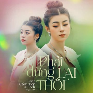 Phải Dừng Lại Thôi-cover