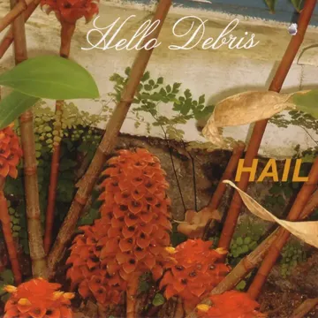 Debris-cover