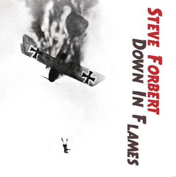 Down In Flames-cover