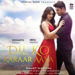Dil Ko Karaar Aaya-cover