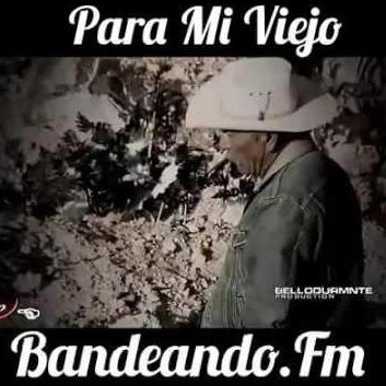 Pa Mi Viejo-cover