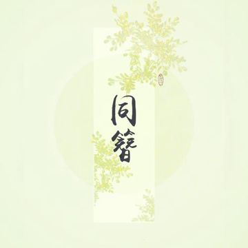 同簪-cover