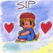 ŞIP-cover