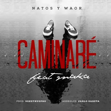 Caminaré (feat. Maka)-cover