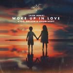 Woke Up in Love(Alok Remix)-cover