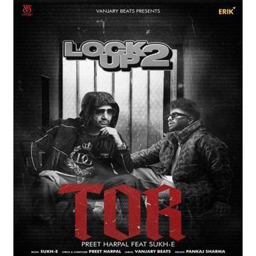 Tor-cover