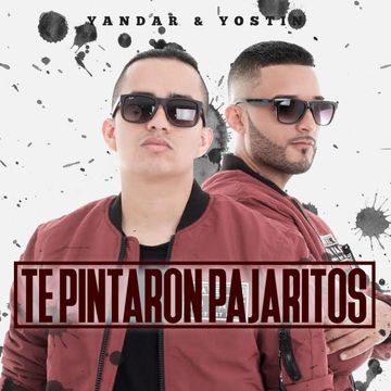 Te Pintaron Pajaritos en el Aire-cover