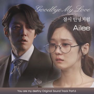 Good Bye My Love-cover