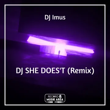 DJ SHE DOES'T (Remix)-cover