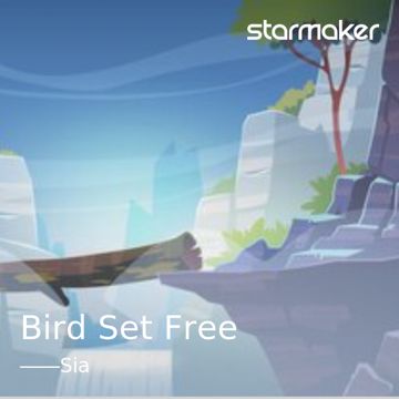 Bird Set Free-cover