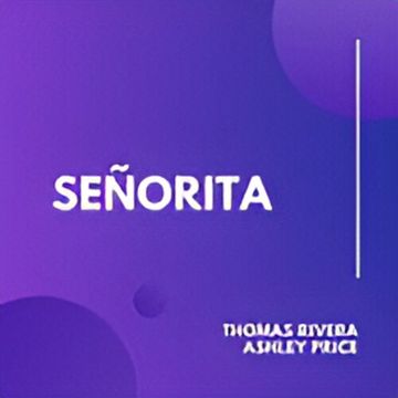 Señorita-cover