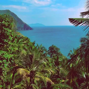 Paradise