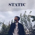STATIC (던져)-cover