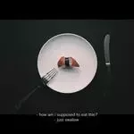pr0ve-cover