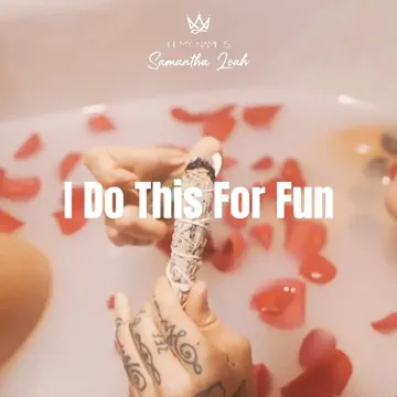 I Do This For Fun-cover