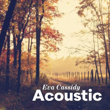 True Colors (Acoustic)-cover