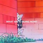你在干嘛？