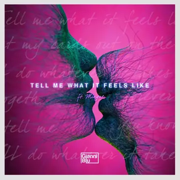 Tell Me What It Feels Like-cover