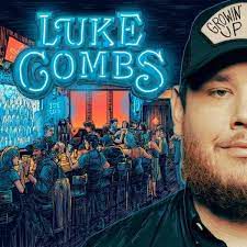 going going gone acoustic [luke combs]-cover