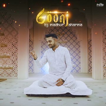 Ek Dafa Tum Milo-cover