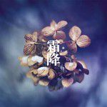 霜降-cover