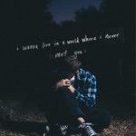 i wanna live inside a world where i never met you-cover