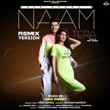 Naam Tera (Remix Version)-cover
