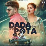 Dada Pota-cover