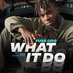 What It Do-cover
