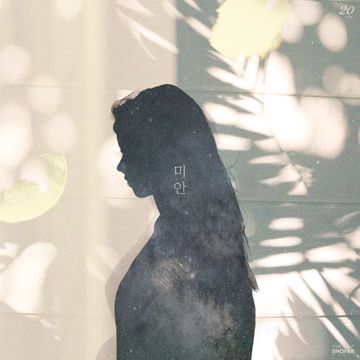 Sorry (feat. Lily)-cover