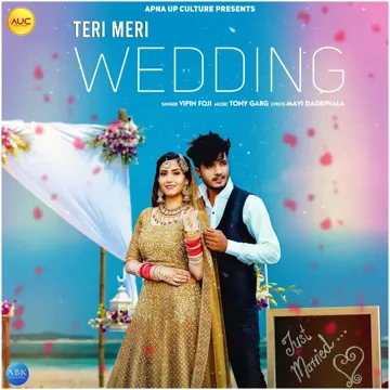 Teri Meri Wedding-cover