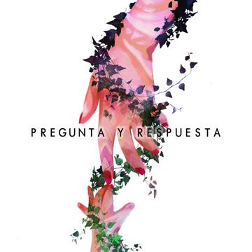 Pregunta y Respuesta