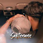 Saktenane (Akustik Vers.)