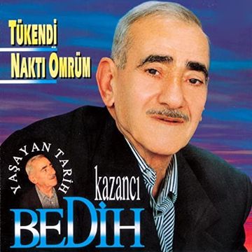 Yeşil Ördek Gibi Daldım Göllere-cover