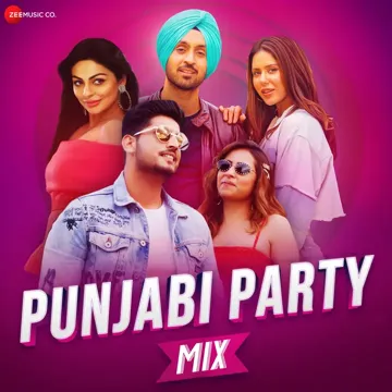 Punjabi Party Mix-cover