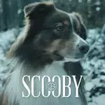 Scooby-cover