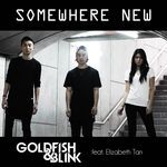 Somewhere New (feat. Elizabeth Tan)-cover
