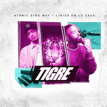Tigre-cover