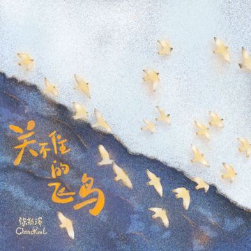 关不住的飞鸟-cover