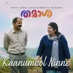 Kaanumbol Ninne (From &quot;Thamaasha&quot;)-cover