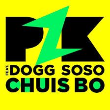 pzk-chui-bo-cover-image
