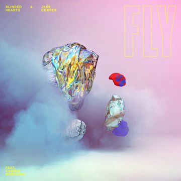 Fly-cover